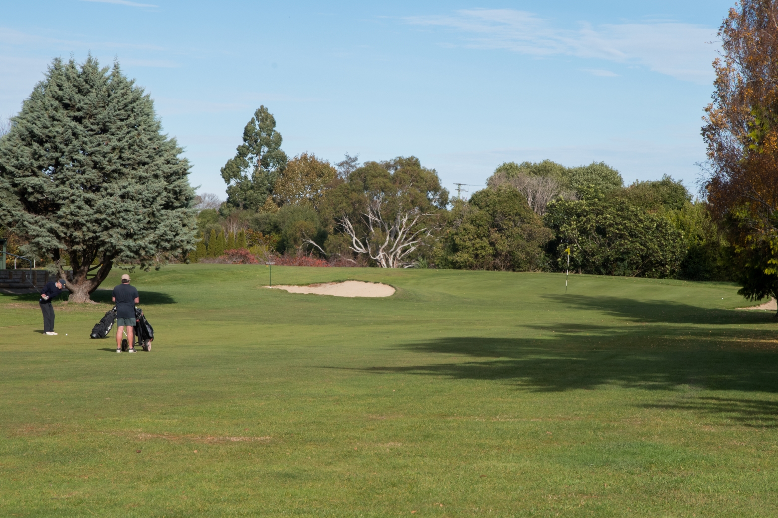 Green #8 & #17 - Straight shot, OB left and right. Back to front sloping green. Don't go long.