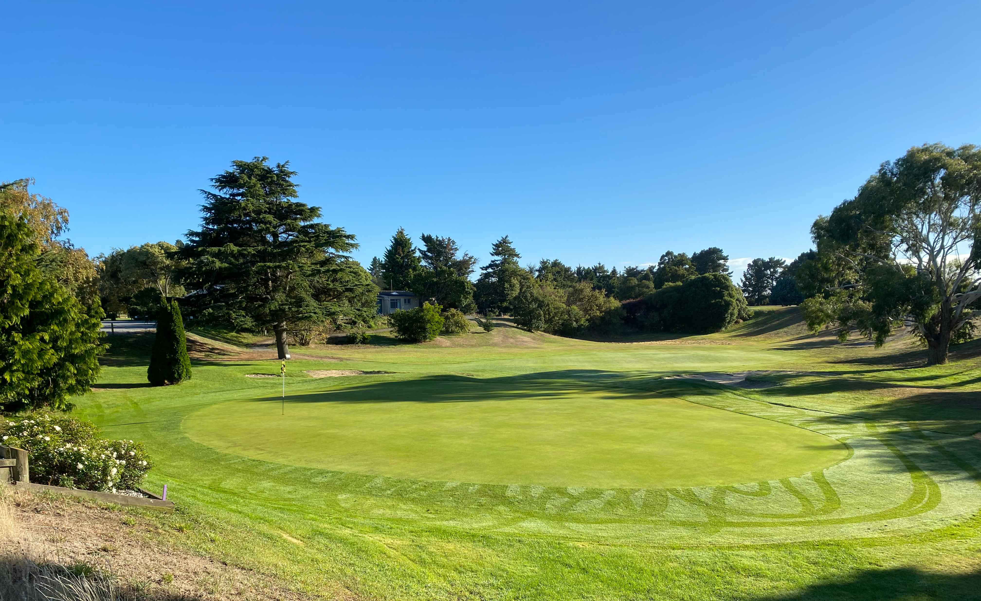 Membership Image